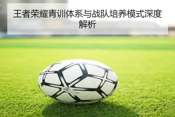 img_1780581136331_57_2_249.jpg